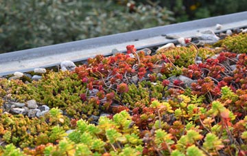 the cost of Laverstoke green roof installation