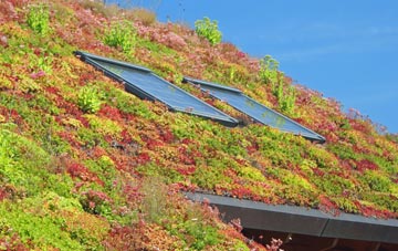 Laverstoke living roof systems